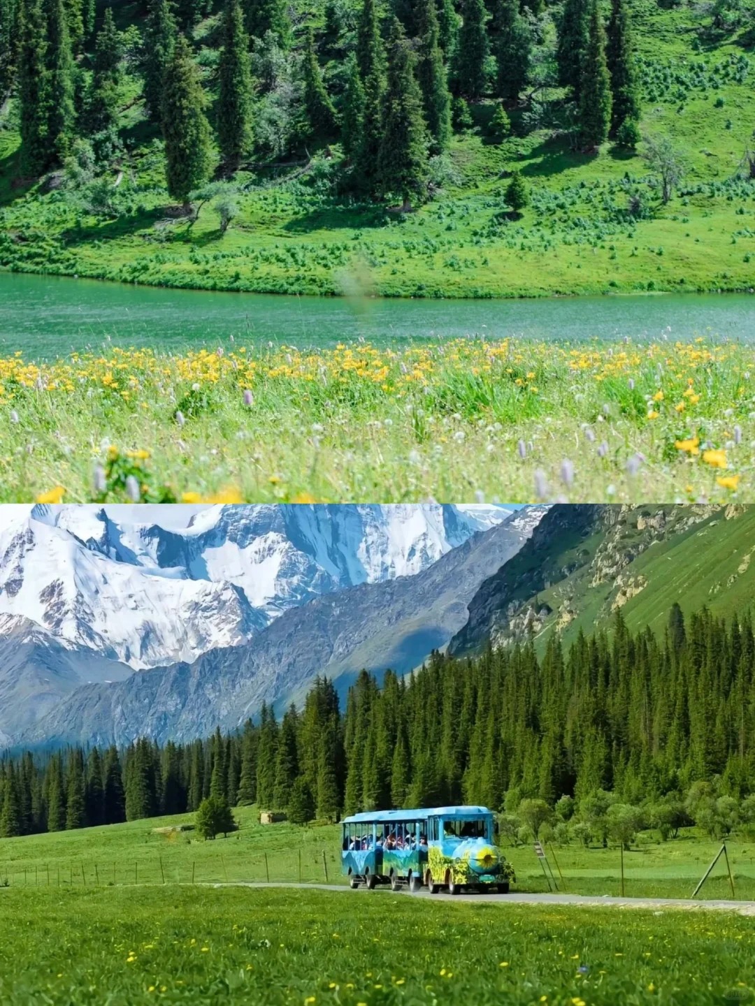 🌿新疆伊犁｜夏日天花板级8大仙境✨_2_ther的旅行日记_来自tour520旅游攻略